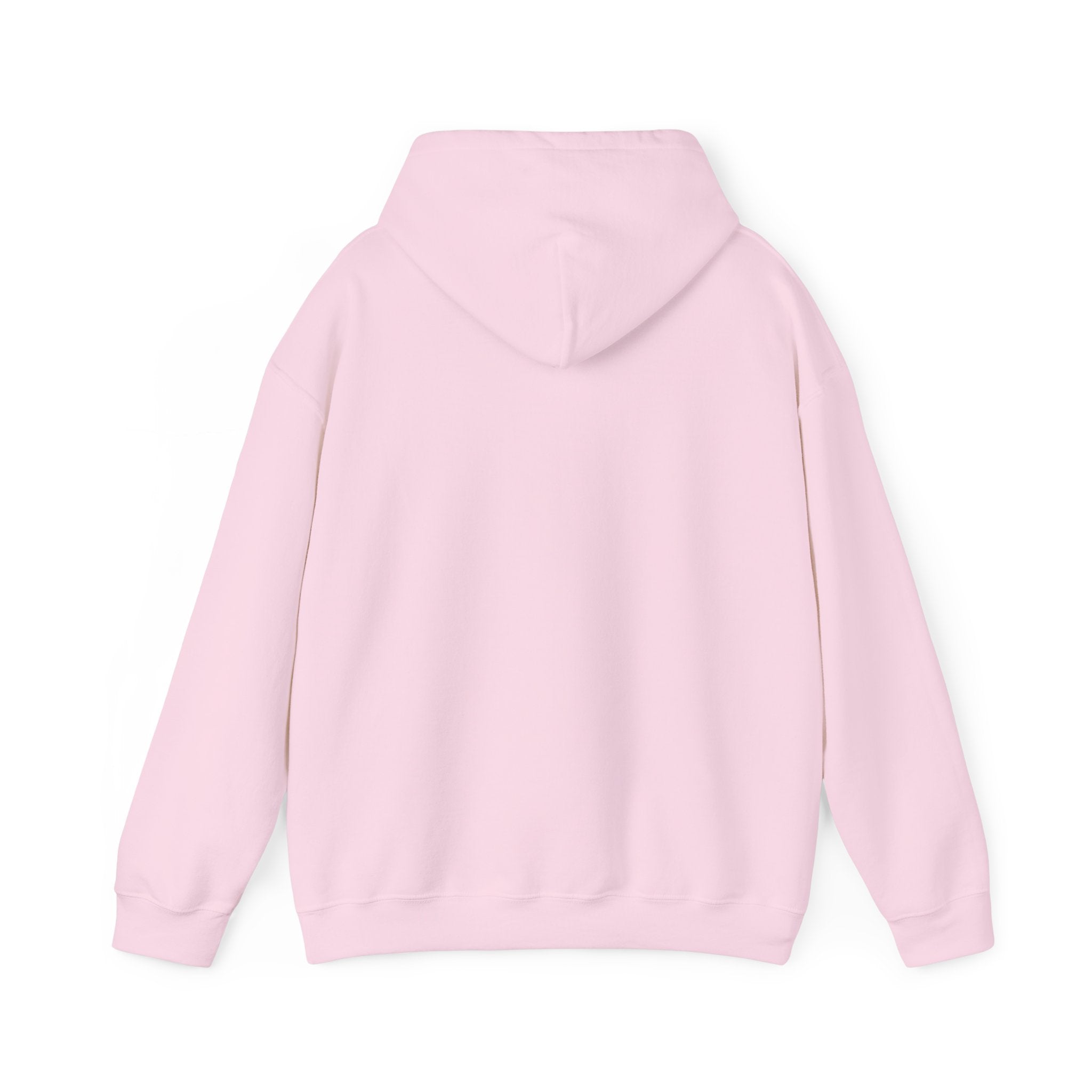 SPREAD JOY HOODIE (FRONT) - Putting a positive message out there - Fully Conscious Apparel