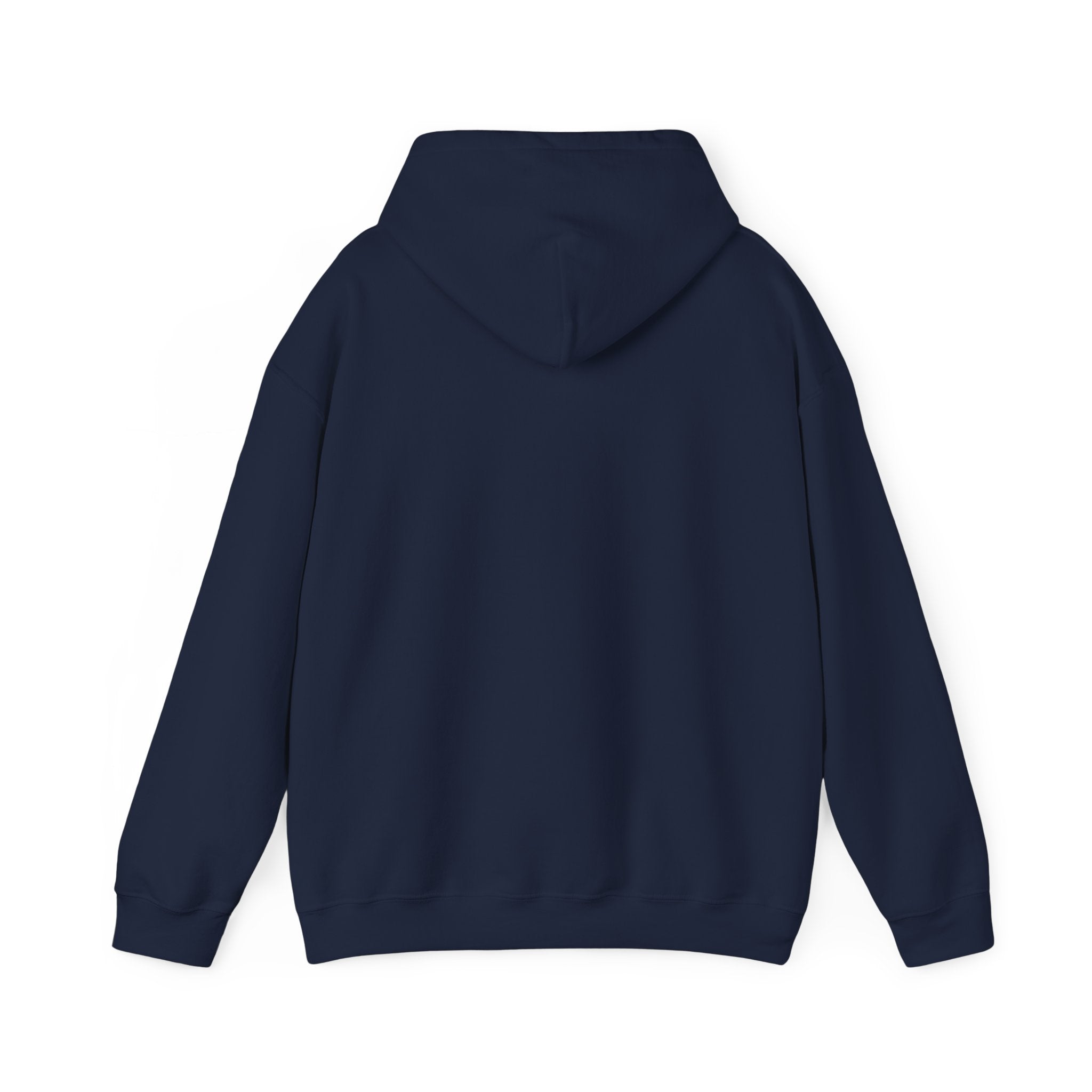 SPREAD JOY HOODIE (FRONT) - Putting a positive message out there - Fully Conscious Apparel
