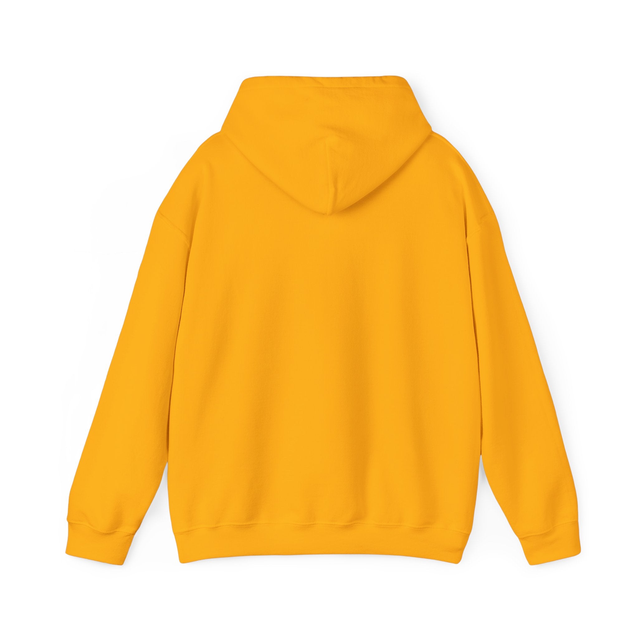 SPREAD JOY HOODIE (FRONT) - Putting a positive message out there - Fully Conscious Apparel